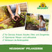 Terreau de plantation Neudorff NeudoHum - Silberkraft