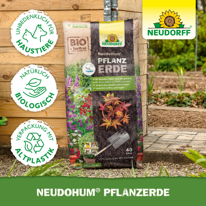 Terreau de plantation Neudorff NeudoHum - Silberkraft