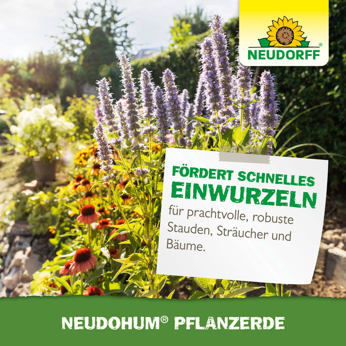 Terreau de plantation Neudorff NeudoHum - Silberkraft