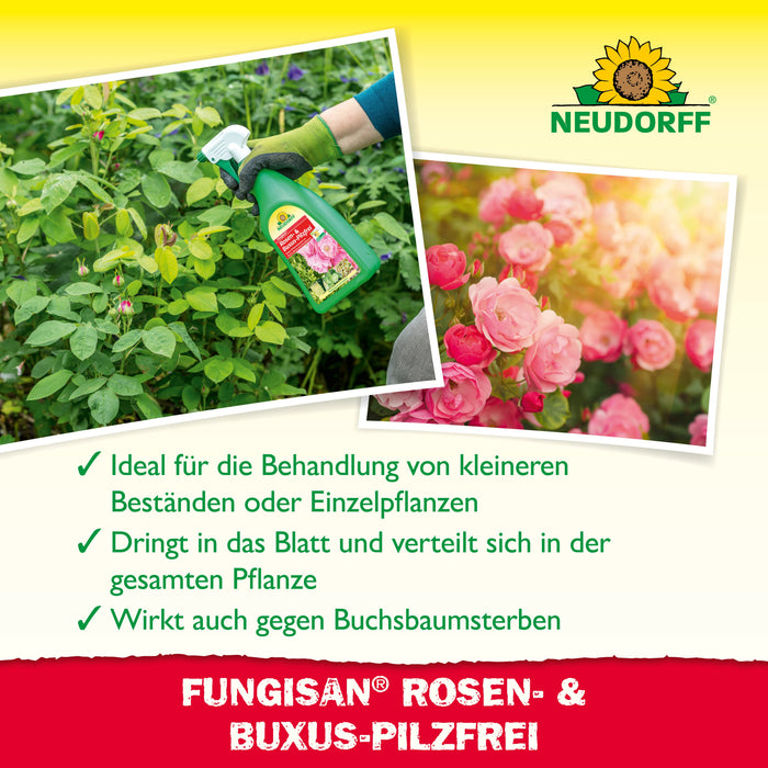 Neudorff Fungisan Rosen- und Buxus-Pilzfrei - Silberkraft