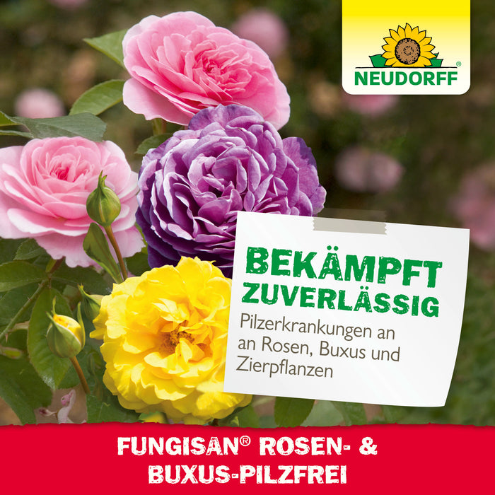Neudorff Fungisan Rosen- und Buxus-Pilzfrei - Silberkraft