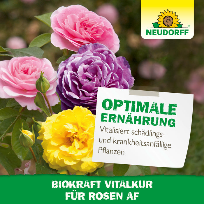 Neudorff BioKraft traitement vital pour les roses