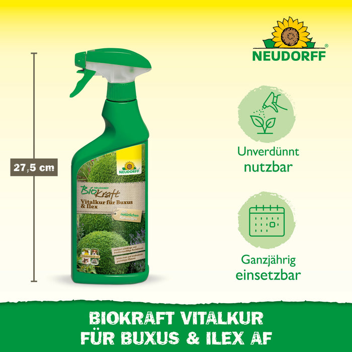 Neudorff BioKraft traitement vital pour Buis & Ilex - Silberkraft