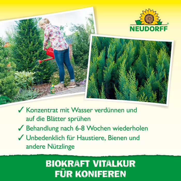 Neudorff BioKraft traitement vital pour conifères - Silberkraft