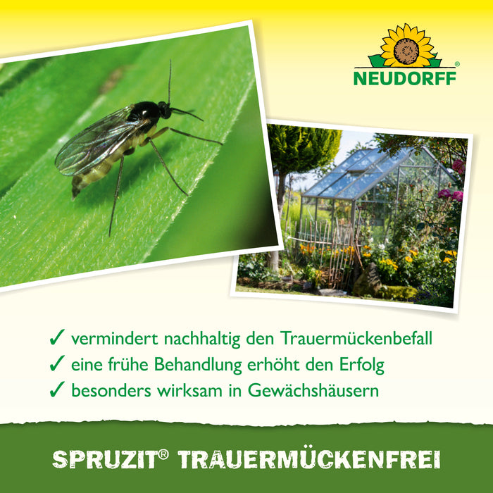 Neudorff Spruzit sans moucherons - Silberkraft