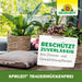 Neudorff Spruzit sans moucherons - Silberkraft