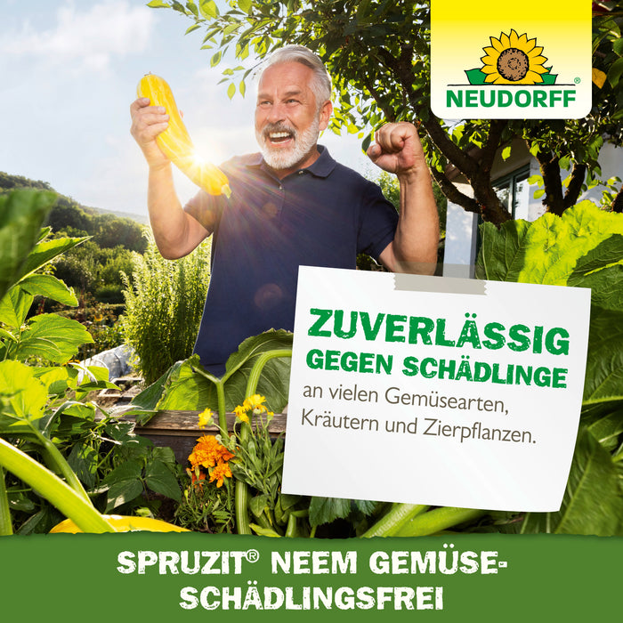 Neudorff Spruzit NEEM GemüseSchädlingsfrei gegen Blattläuse, Kartoffelkäferlarven, Weiße Fliege, Zikaden, Minierfliegen, Raupen, Thripse - Silberkraft