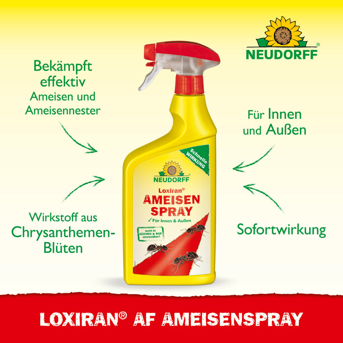 Neudorff Loxiran AF Spray anti-fourmis - Silver Power