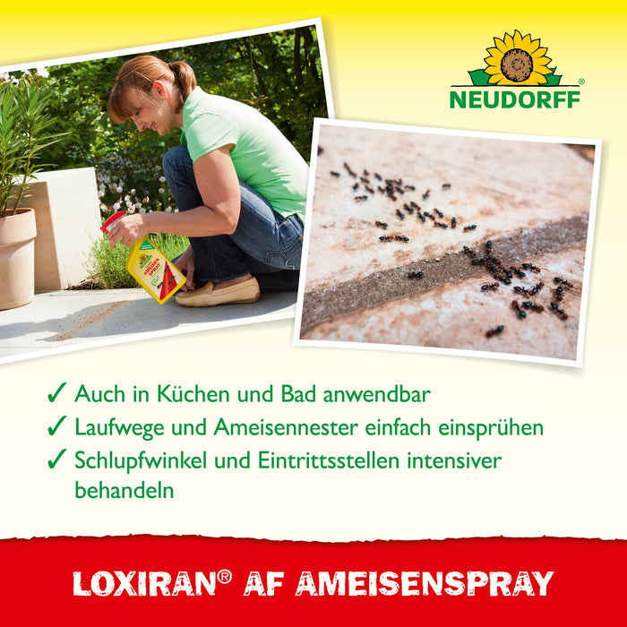 Neudorff Loxiran AF Spray anti-fourmis - Silver Power