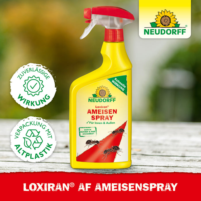 Neudorff Loxiran AF Spray anti-fourmis - Silver Power