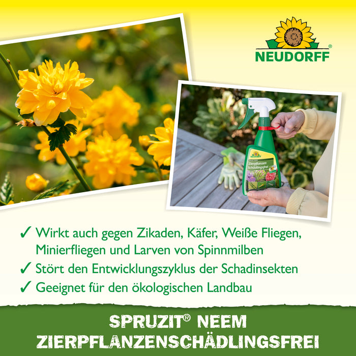 Plantes ornementales Neudorff Spruzit NEEM, sans parasites - Silberkraft