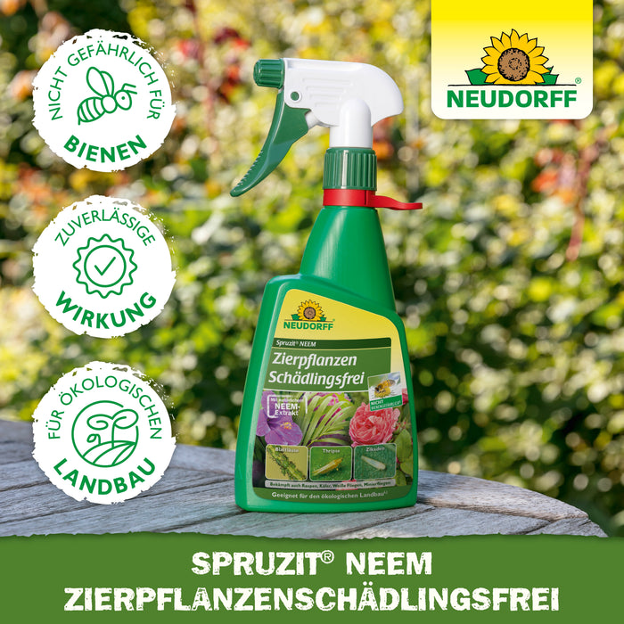 Plantes ornementales Neudorff Spruzit NEEM, sans parasites - Silberkraft