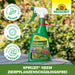 Plantes ornementales Neudorff Spruzit NEEM, sans parasites - Silberkraft