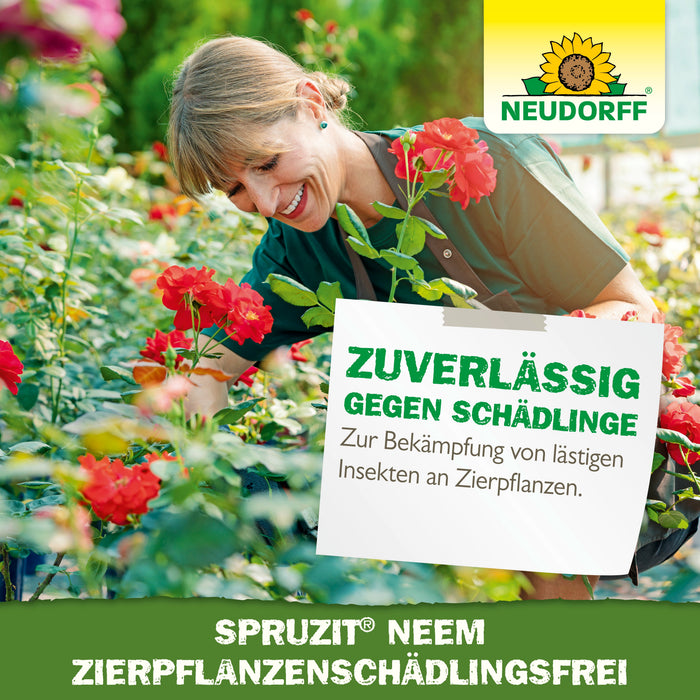 Plantes ornementales Neudorff Spruzit NEEM, sans parasites - Silberkraft