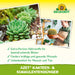 Neudorff Azet Engrais pour cactus et plantes succulentes - Silberkraft
