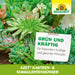Neudorff Azet Engrais pour cactus et plantes succulentes - Silberkraft