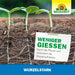 Neudorff Wurzelstark - Pouvoir Argent