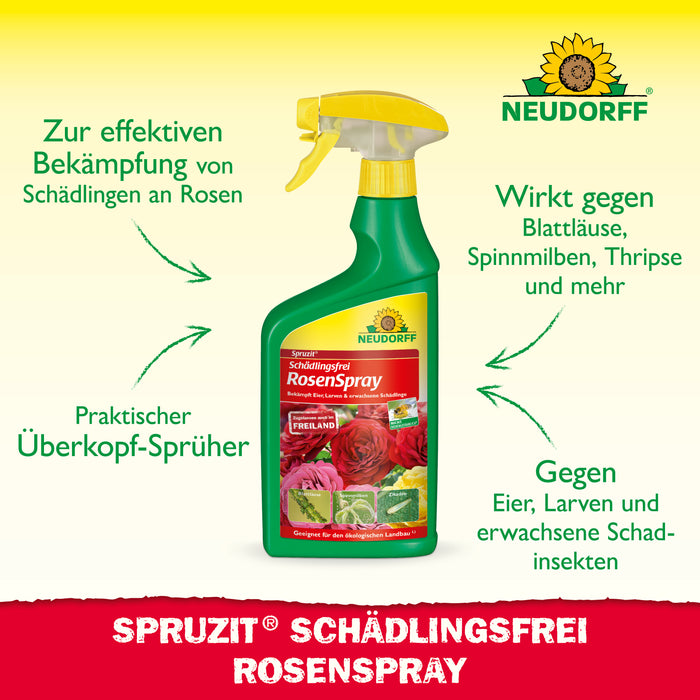 Sans moucherons des champignons Spruzit