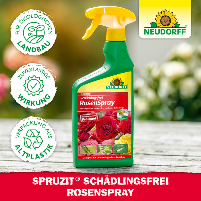 Sans moucherons des champignons Spruzit