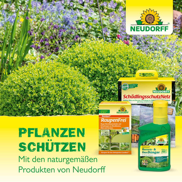 Neudorff Neudomon BuchsbaumzünslerFalle Nachfüllpack - Silberkraft