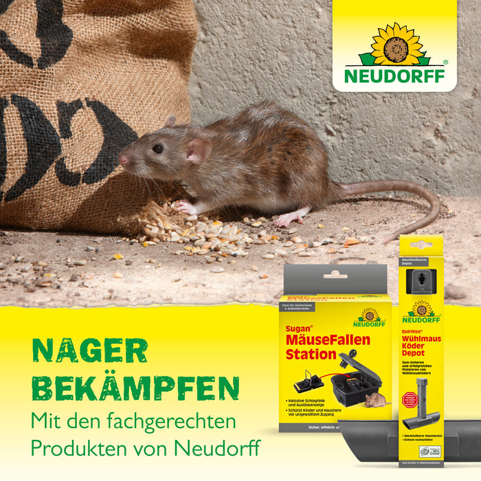 Arrêt pour rats et souris Neudorff Sugan - Silberkraft
