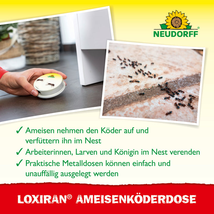 Boîte à appâts pour fourmis Neudorff Loxiran - Silberkraft