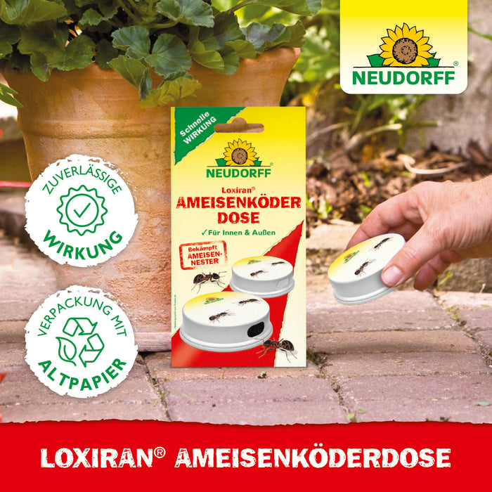 Boîte à appâts pour fourmis Neudorff Loxiran - Silberkraft