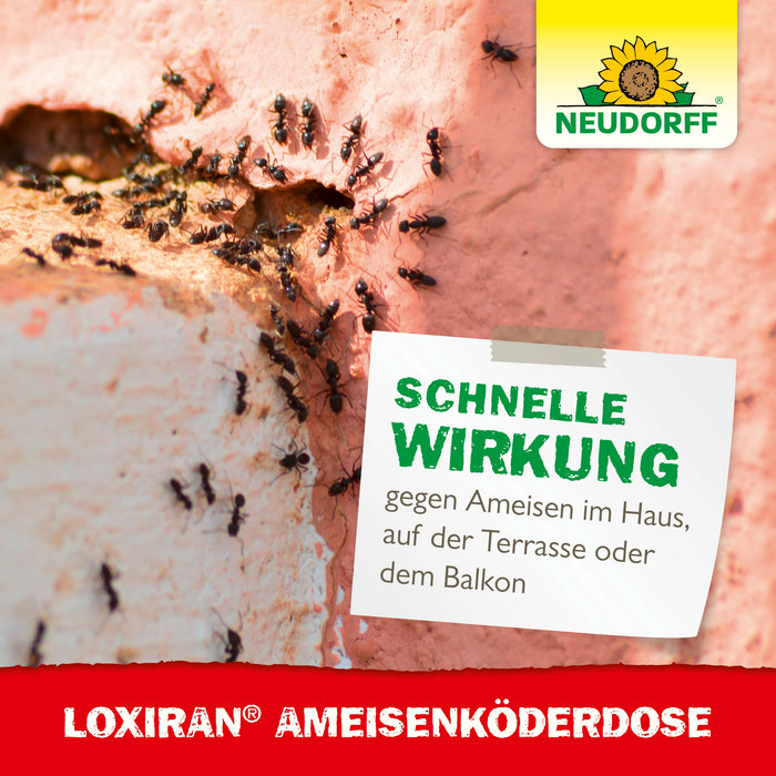 Boîte à appâts pour fourmis Neudorff Loxiran - Silberkraft