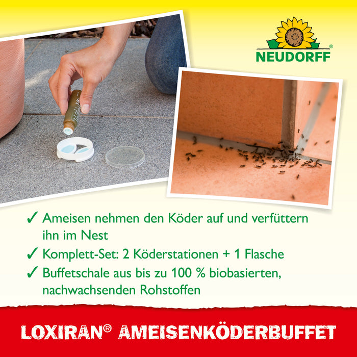Buffet d'appâts pour fourmis Neudorff Loxiran - Silberkraft
