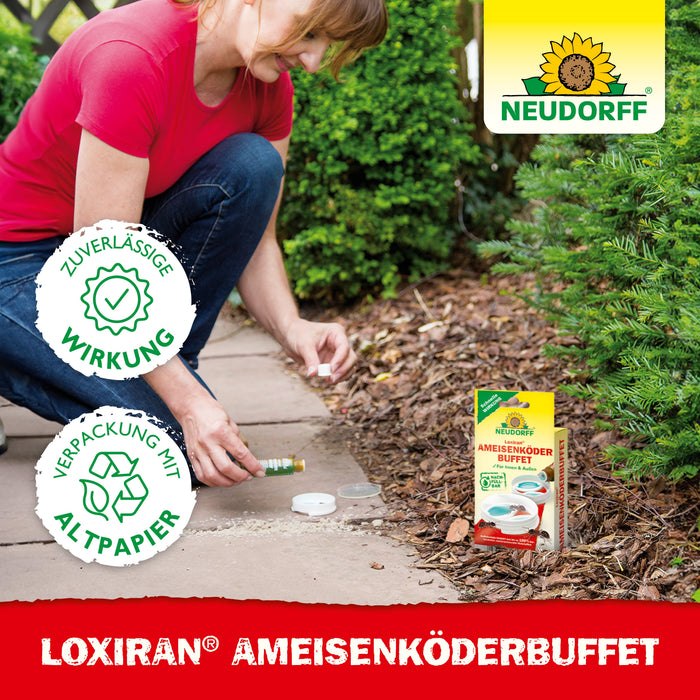 Buffet d'appâts pour fourmis Neudorff Loxiran - Silberkraft