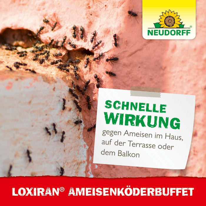 Buffet d'appâts pour fourmis Neudorff Loxiran - Silberkraft