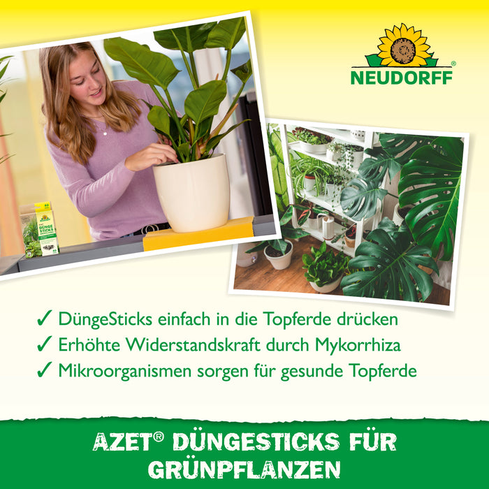 Neudorff Azet bâtons d'engrais pour plantes vertes - Silberkraft