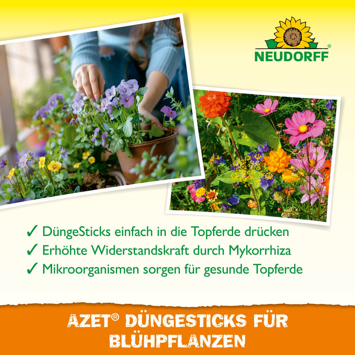 Neudorff Azet bâtons d'engrais pour plantes à fleurs - Silberkraft
