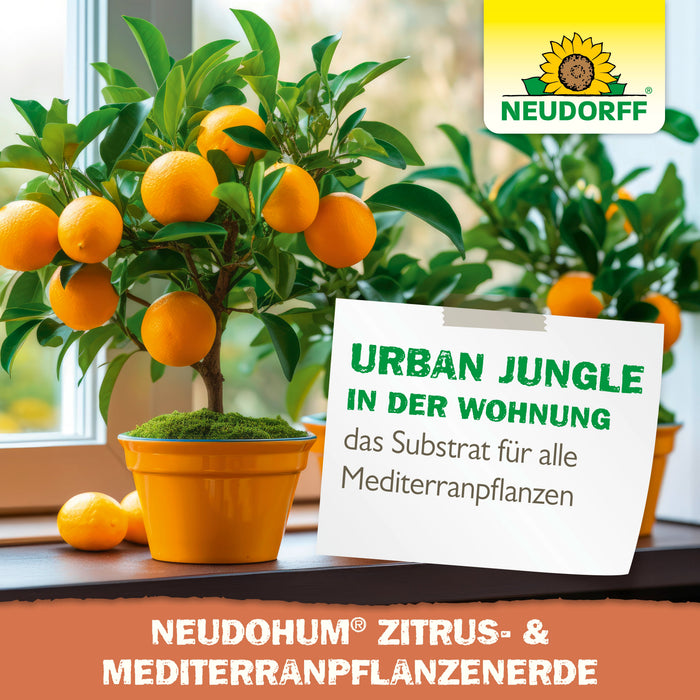 Terreau Neudorff NeudoHum pour agrumes et plantes méditerranéennes - Silberkraft