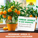 Terreau Neudorff NeudoHum pour agrumes et plantes méditerranéennes - Silberkraft