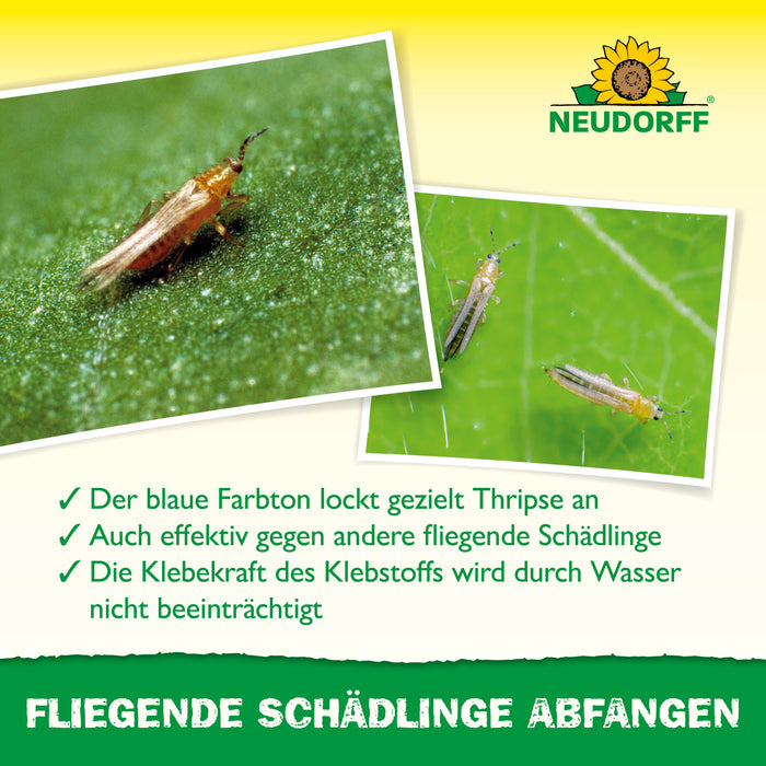Autocollant bleu Neudorff - Silberkraft
