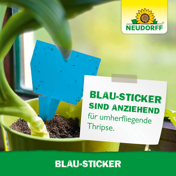 Autocollant bleu Neudorff - Silberkraft