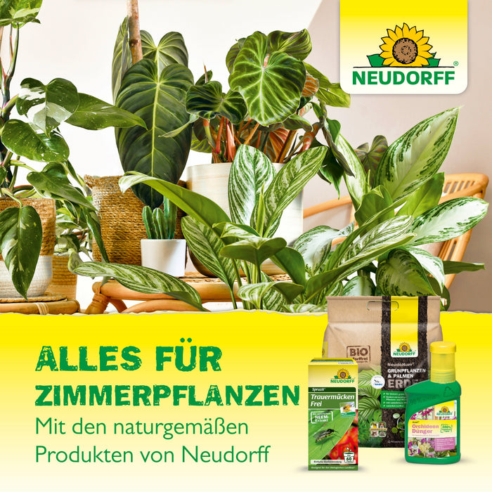 Autocollant bleu Neudorff - Silberkraft