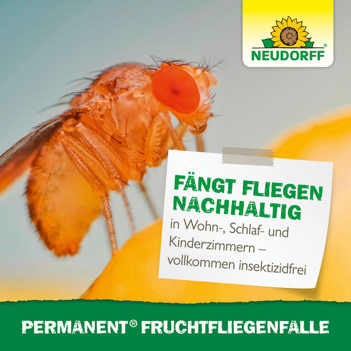 Piège permanent à mouches des fruits Neudorff - Silberkraft