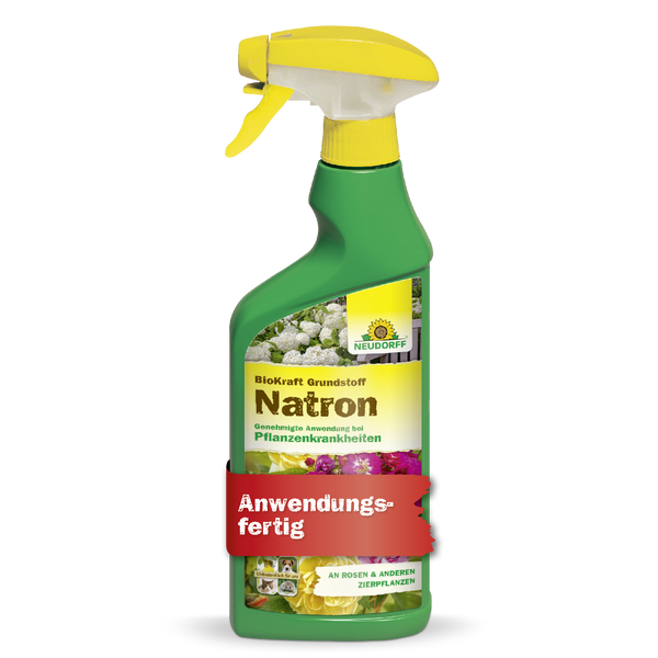 Neudorff BioKraft matière première bicarbonate de soude - puissance d'argent