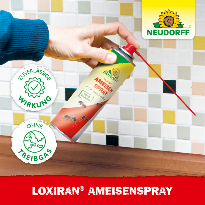 Spray anti-fourmis Neudorff Loxiran - Silver Power