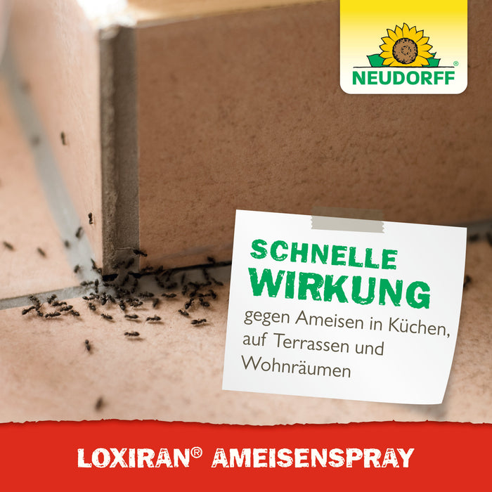 Spray anti-fourmis Neudorff Loxiran - Silver Power