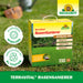 Rénovateur de pelouse Neudorff TerraVital - Silberkraft