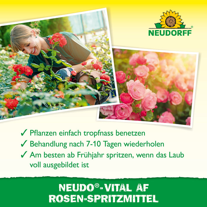Neudorff Neudo-Vital AF spray à la rose - Silberkraft