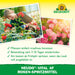 Neudorff Neudo-Vital AF spray à la rose - Silberkraft
