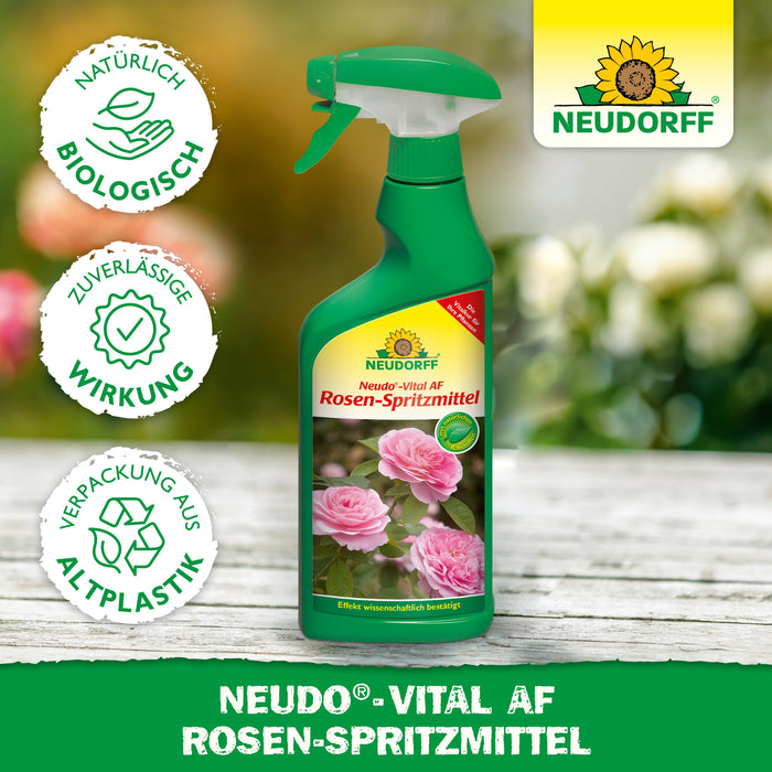 Neudorff Neudo-Vital AF spray à la rose - Silberkraft