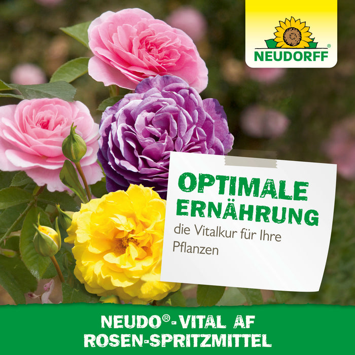Neudorff Neudo-Vital AF spray à la rose - Silberkraft