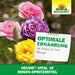 Neudorff Neudo-Vital AF spray à la rose - Silberkraft