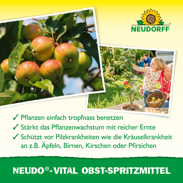Neudorff Neudo-Vital spray fruité - Silberkraft