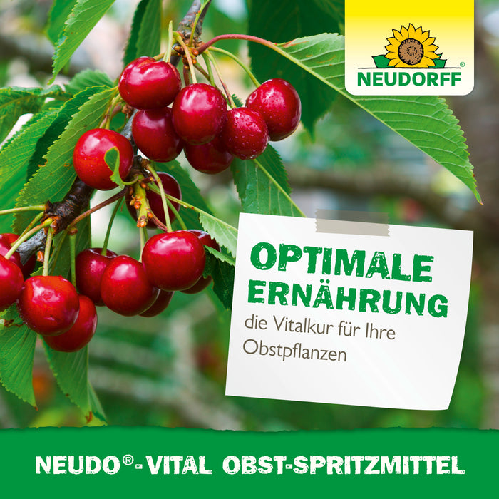 Neudorff Neudo-Vital spray fruité - Silberkraft